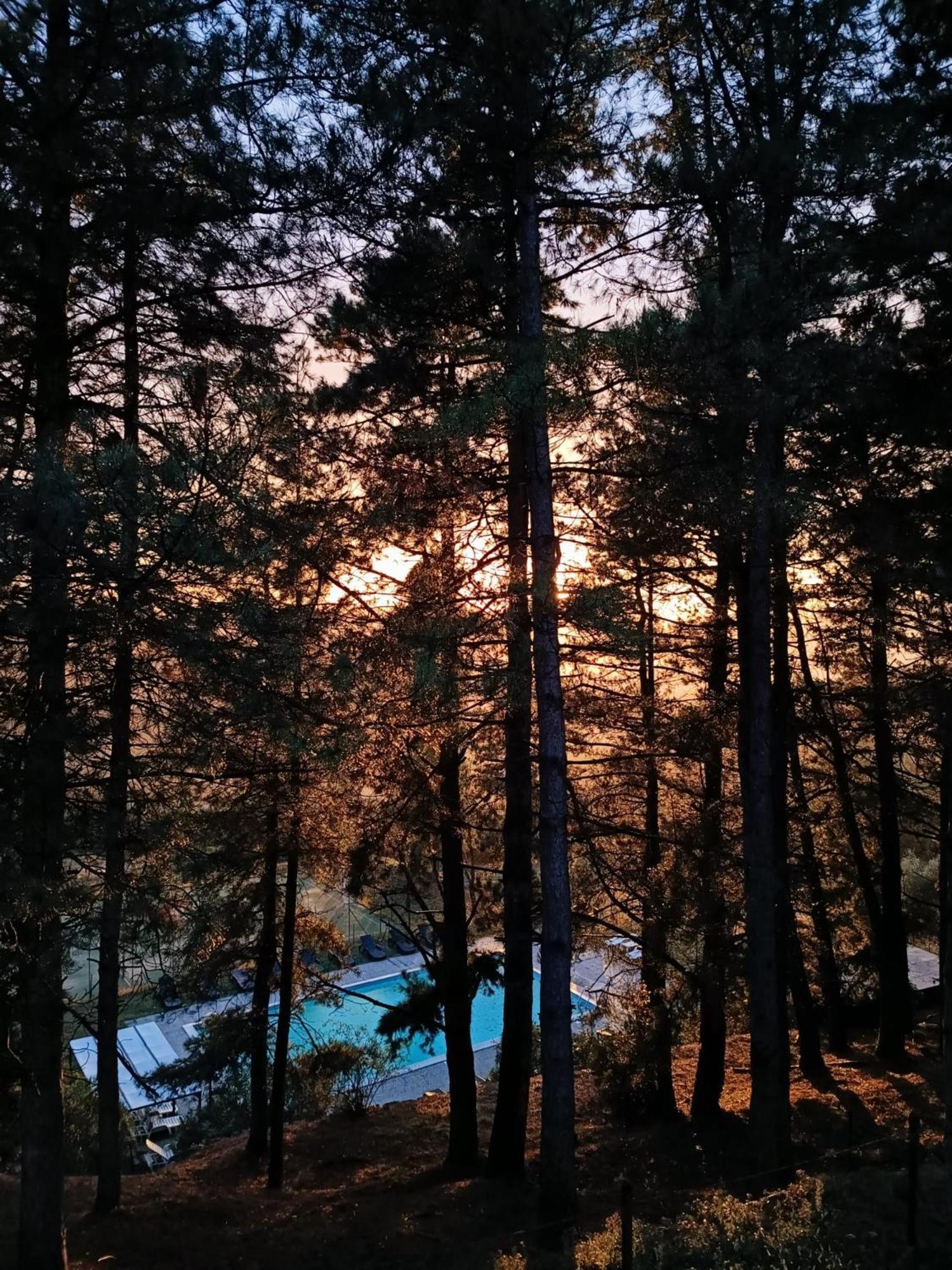 Locanda Di Praticino Rufina Bagian luar foto